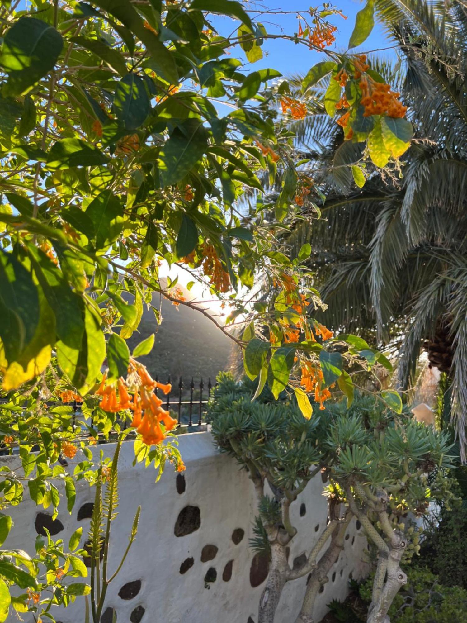 Finca Exclusiv La Mareta Агаэте Экстерьер фото