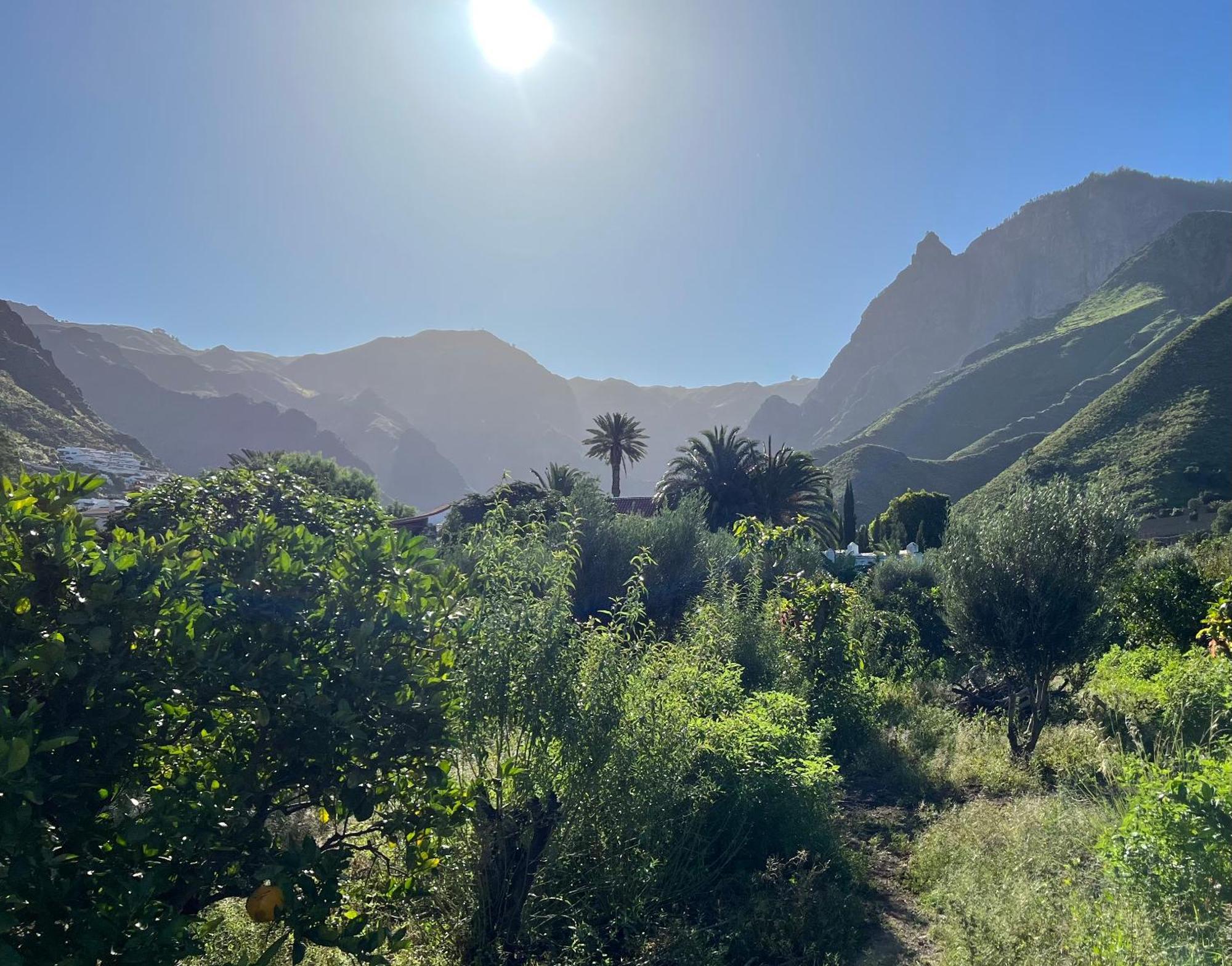 Finca Exclusiv La Mareta Агаэте Экстерьер фото